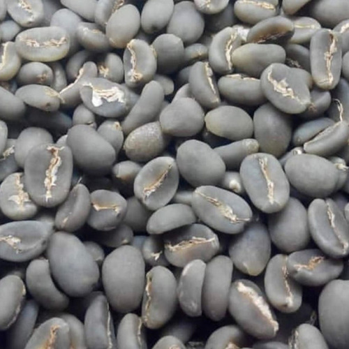 ARABICA TORAJA (1)