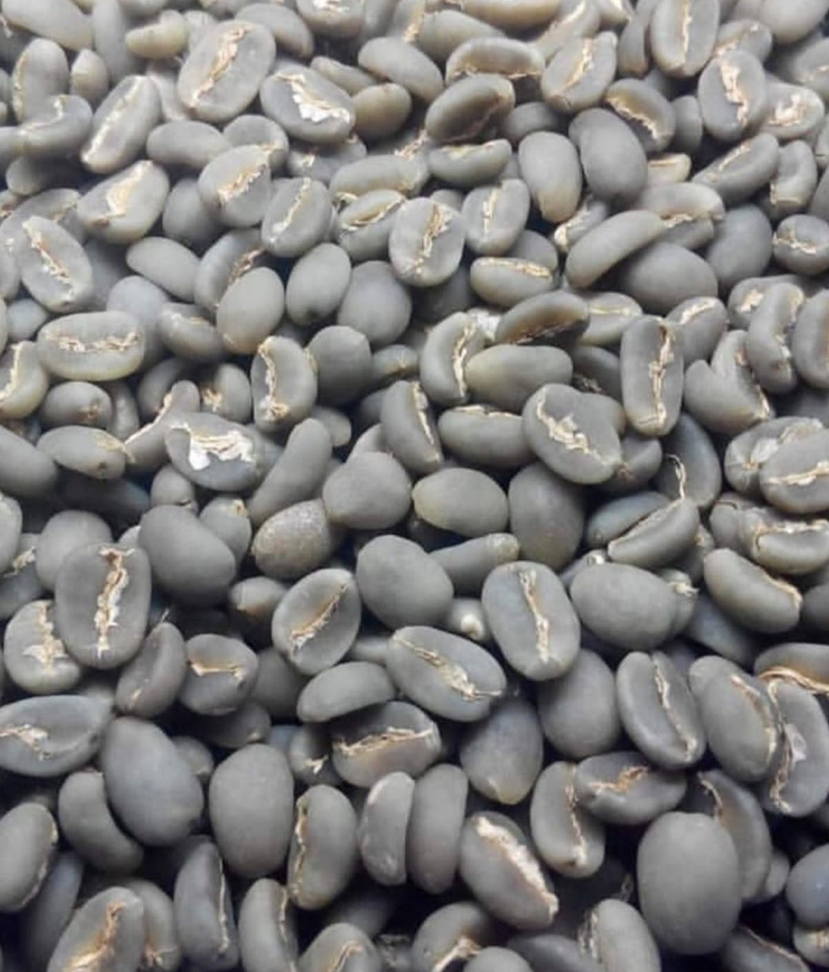 coffie2